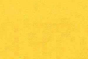 Ковролин Radici Nexus Canarino 8228 фото  | FLOORDEALER